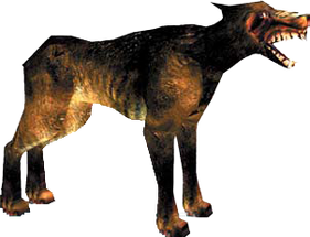 Dogs of Darkness