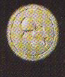 Ouphenus