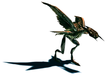 Procuraptor