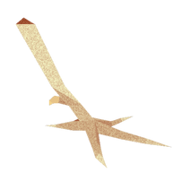 Piededipollo