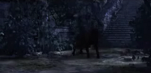 Ophtalmicidgif