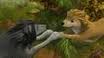 Images-96