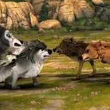 Alpha Wolves Alpha And Omega Wiki Fandom