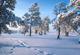 Icemain