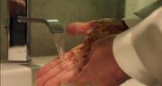 The Hand (101)
