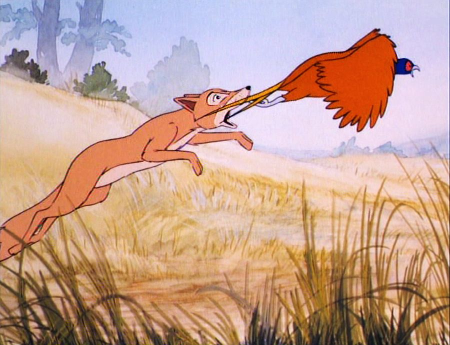 Bild - Keck auf der jagd small.jpg | Als die Tiere den ...