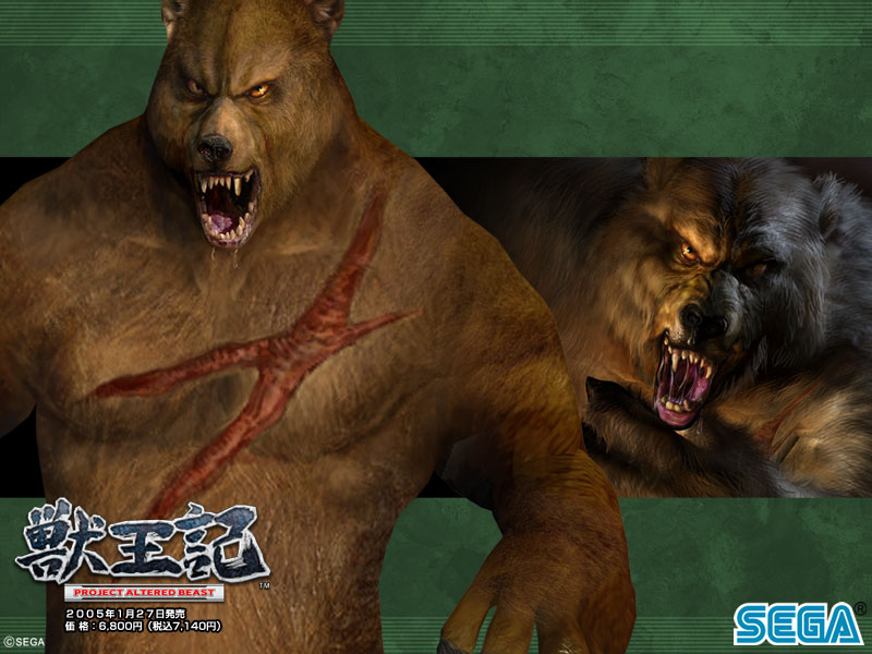 Bear | Altered Beast Wiki | FANDOM powered by Wikia