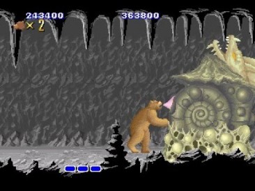 Bear-366x275