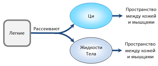 Рассеивание Ци Легких