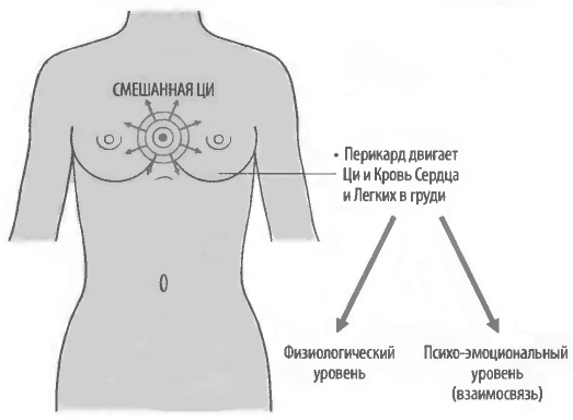 Перикард и Смешанная Ци
