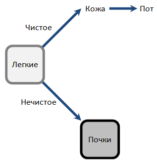 Опускание Ци Легких
