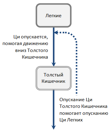 Взаимоотношения Легких и Толстого Кишечника