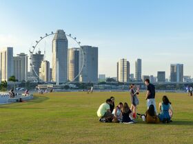 Singapore-picnic