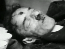 Hitler 5