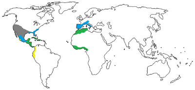 1550 A.D.