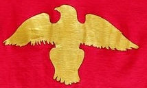 RomanEagleMediTC
