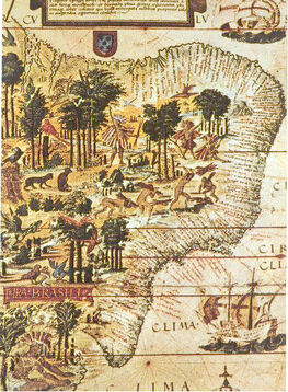 Terra brasilis