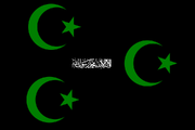 Possible UIN flag