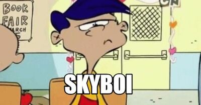 Skyboi complete