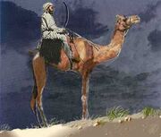 CamelSword