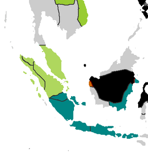 Pmii sumatra
