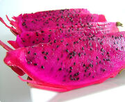 Pink.pitaya