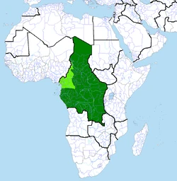 Estados Unidos de África Latina (Presidente Portales) Historia