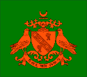 Balasinor bandera
