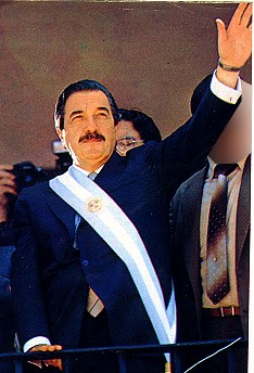 Alfonsin