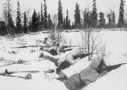 Finn ski troops