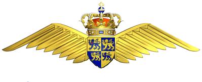 Royal Welsh Airforce Badge