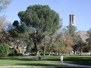 Greencampus