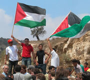 Palestinian flag web