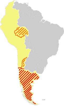 Inca german war