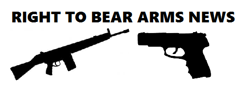 Image Right to bear arms png Alternative History FANDOM powered