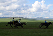 Three Naadam riders