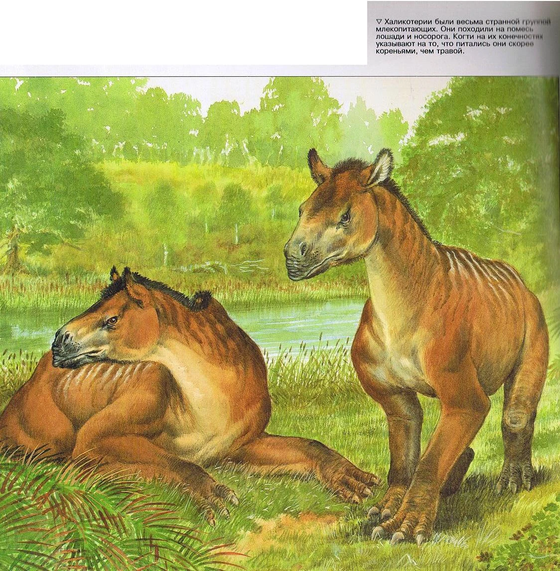 Изображение Morop.JPG Альтернативная История FANDOM powered by Wikia