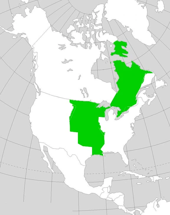 QuebecLouisiana (Napoleon's America) Alternative History FANDOM