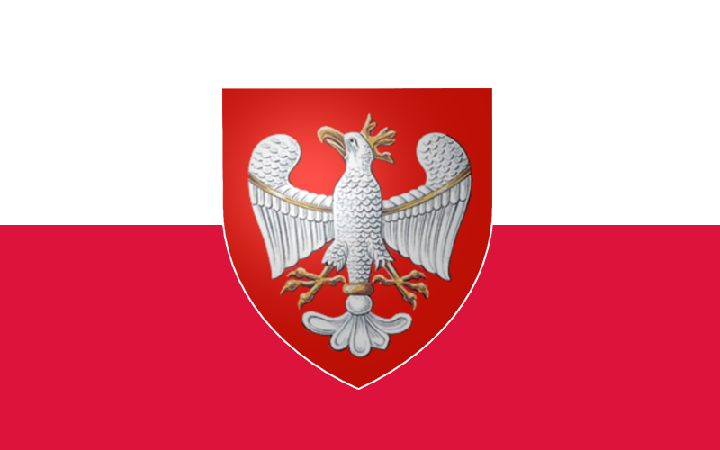 Флаг с гербом польши