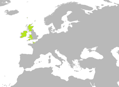 BlankMap-Europe-v3-800px