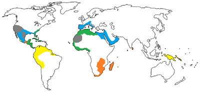 1750 A.D.