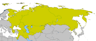 ВО России ПЭ.