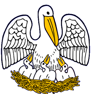 Pelican