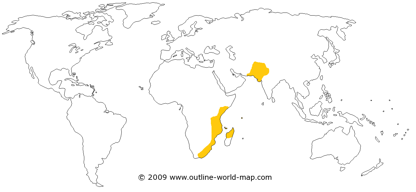 Sikh Empire (Sikh Empirical (Sikh Empire's) the Successful