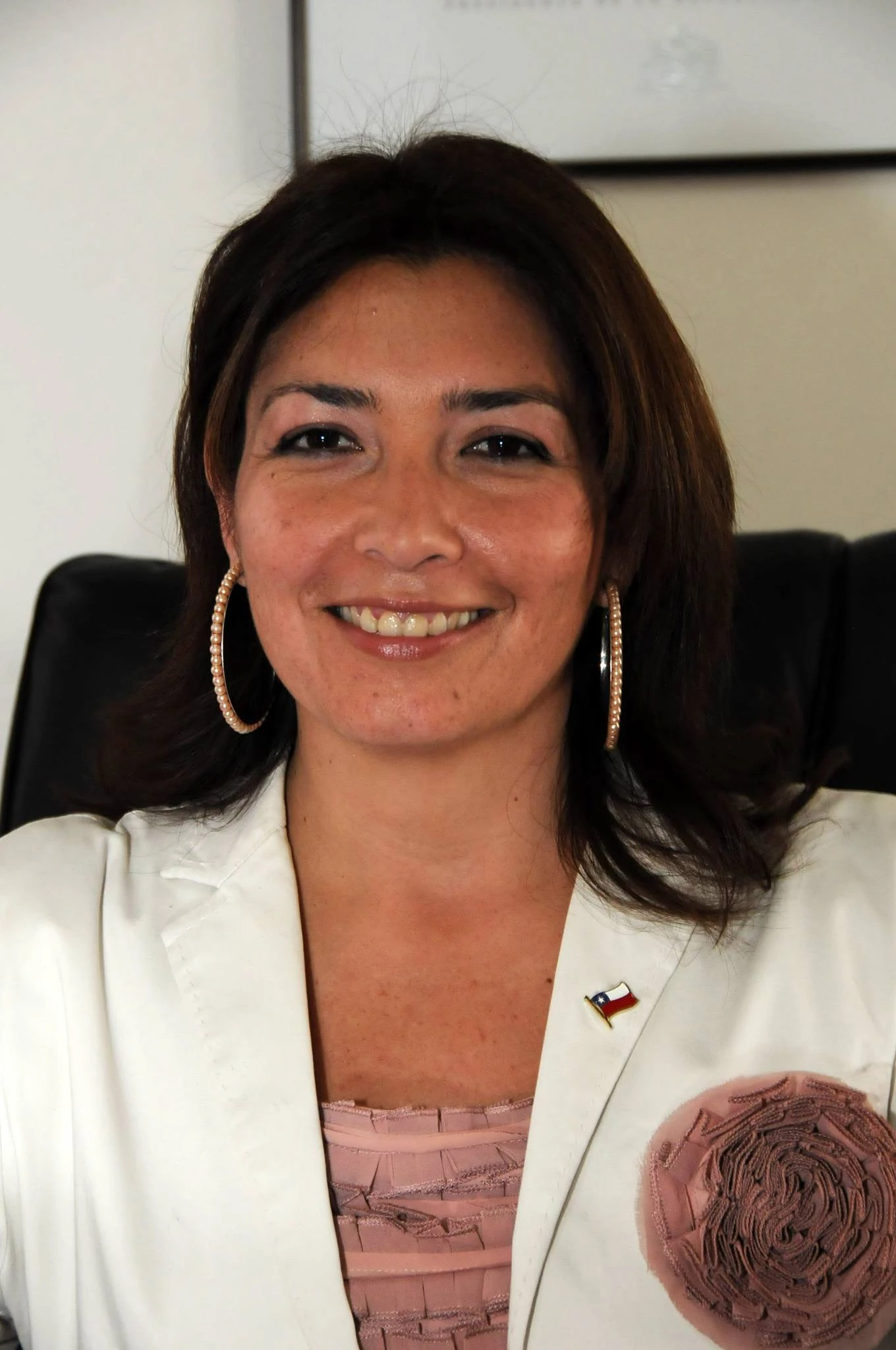 Distrito Electoral 1 (Chile No Socialista) Historia Alternativa