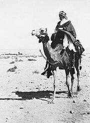 IraqWarrior