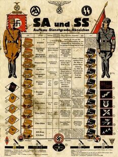 SA y SS