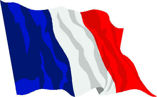 image french flag jpg