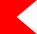 Nagpur bandera