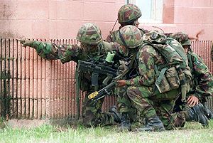 Town Fighting